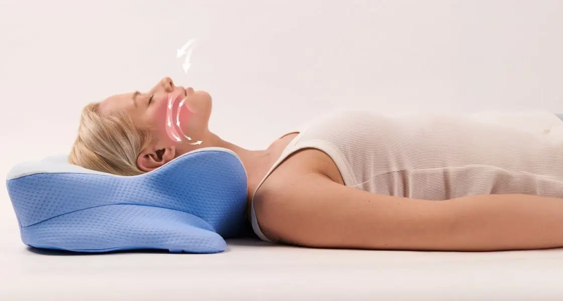 Derila Ergo Pillow 16