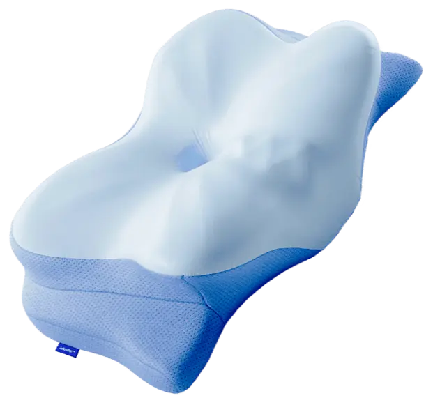 Derila Ergo Pillow 22