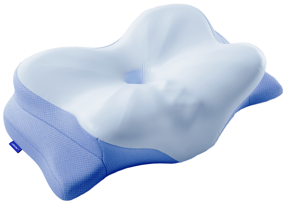 Derila Ergo Pillow 2